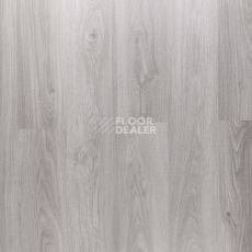Ламинат Clix Floor Plus Дуб Серый Серебристый фото 1 | FLOORDEALER